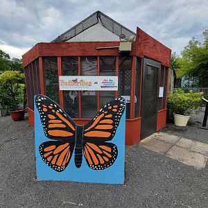 Children's Museum CT - Butterfly building