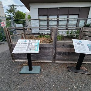 Children's Museum CT - compost garden