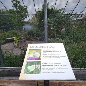 Children's Museum CT - Outside of butterfly building