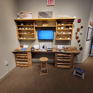 Audubon RI - Education desk, touch desk