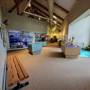 Audubon RI - Dioramas, play area