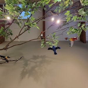 Audubon RI - Paper birds hanging from ceiling
