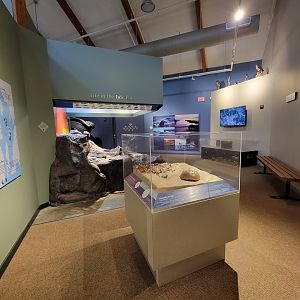 Audubon RI - Tide pool area