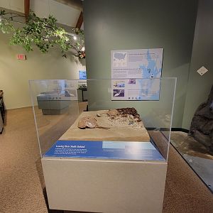 Audubon RI - Tide pool area