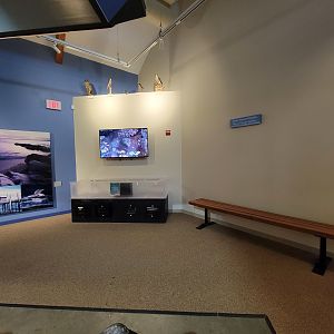 Audubon RI - Tide pool area, film, stuffed birds