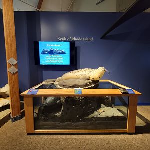 Audubon RI - Seals of rhode island info