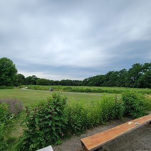 Audubon RI - Lots of birding trails outside