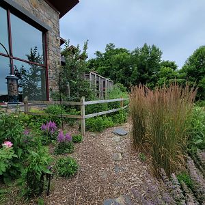 Audubon RI - Garden path
