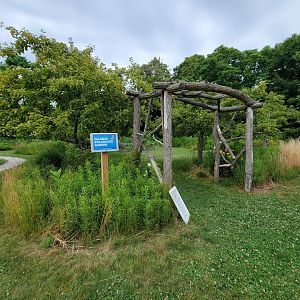 Audubon RI - Pollinator garden
