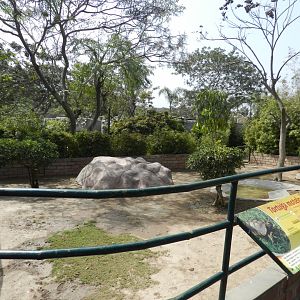 Yellow-footed tortoise exhibit - Parque Zoológico Huachipa