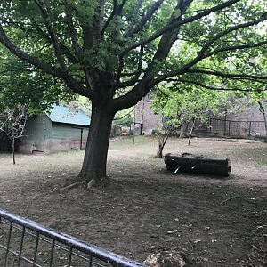 Second pygmy hippo enclosure