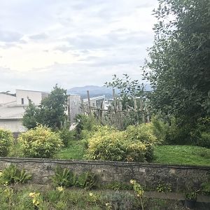 Chimpanzee enclosure