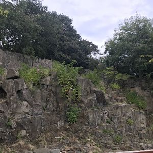 Former rock hyrax enclosure