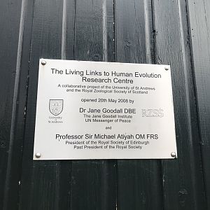 Living links plaque