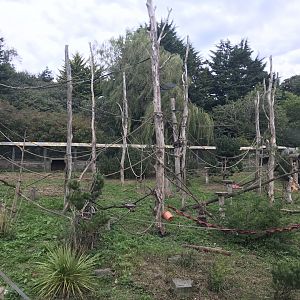 Living links west enclosure