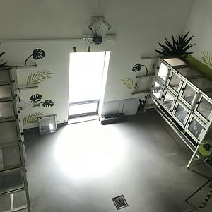 Living links west- interview room