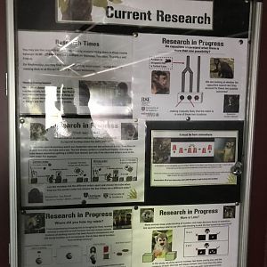 Living links signage