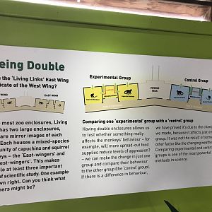 Living links signage