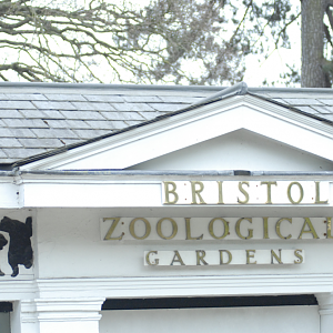 "Adieu, Clifton Zoo !" - Bristol Zoo 2022