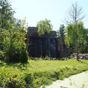 Japanese macaque exhibit, 2022-06-28