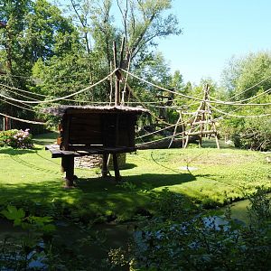 Golden-cheeked gibbon, Central Chinese goral and Siberian crane exhibit, 2022-06-28