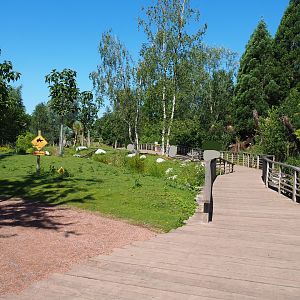Eastern grey kangaroo, Red kangaroo, Swamp wallaby and Emu walk-through area, 2022-06-28