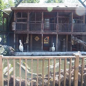 Australian aviary - Bird house and temporary exhibit for Australian pelicans, 2022-06-28