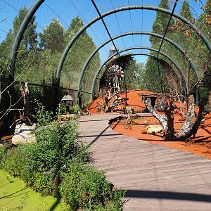 Australian walk-through aviary, 2022-06-28