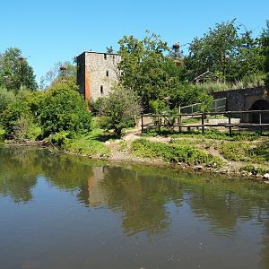 South American exhibit with Capybaras, Lowland tapirs and Giant anteaters on the bank of the Dender river, 2022-06-28