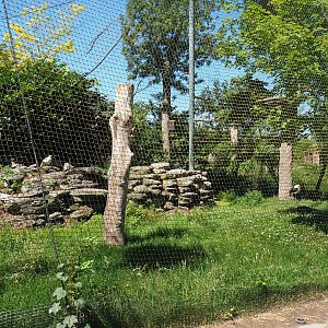 Saddle-billed stork and Egyptian vulture aviary, 2022-06-28