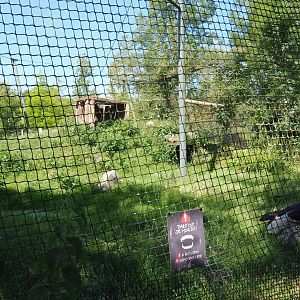 Andean condor and Mountain caracara aviary, 2022-06-28