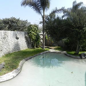 Black caiman exhibit - Parque Zoológico Huachipa