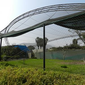 Bird show aviary - Parque Zoológico Huachipa