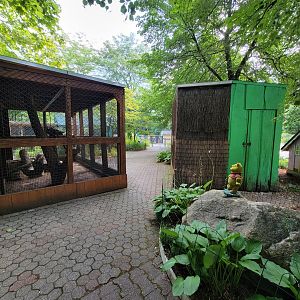 Lupa Zoo - Front exhibits