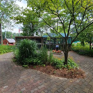 Lupa Zoo - Binturong