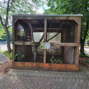 Lupa Zoo - Armadillo