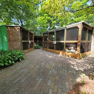 Lupa Zoo - Kinkajou, kookaburra