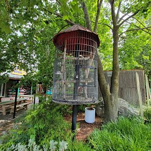 Lupa Zoo - Former (I hope?) bird holding