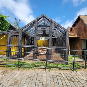 Lupa Zoo - African crested porcupine