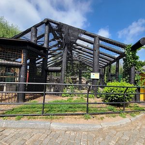 Lupa Zoo - Asiatic black bear