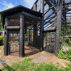 Lupa Zoo - Macaws, asiatic black bear