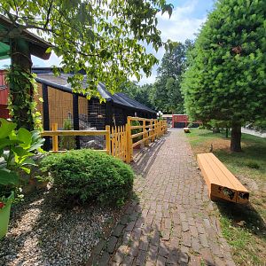 Lupa Zoo - Path to more monkeys