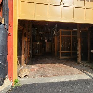 Lupa Zoo - Inside barn