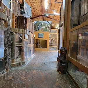 Lupa Zoo - Inside barn