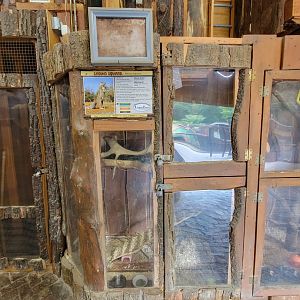 Lupa Zoo - Some sort of ground squirrel