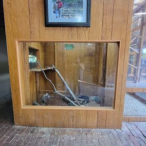 Lupa Zoo - Boa constrictor