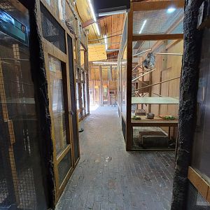 Lupa Zoo - Inside barn