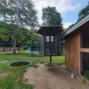 Lupa Zoo - Empty cages