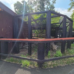 Lupa Zoo - Empty, maybe? Couldn't see anything, anyway