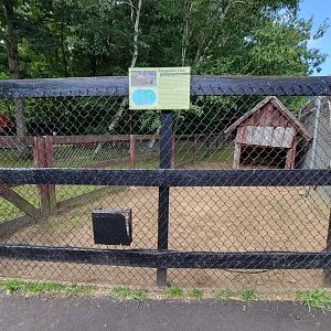 Lupa Zoo - Patagonian mara